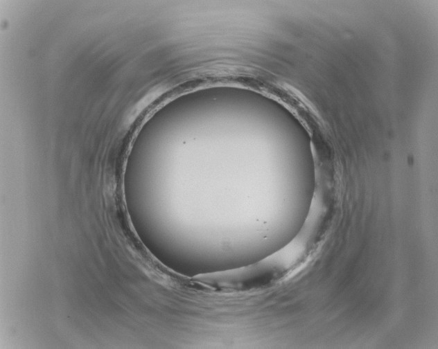 X0000070391065200606301941