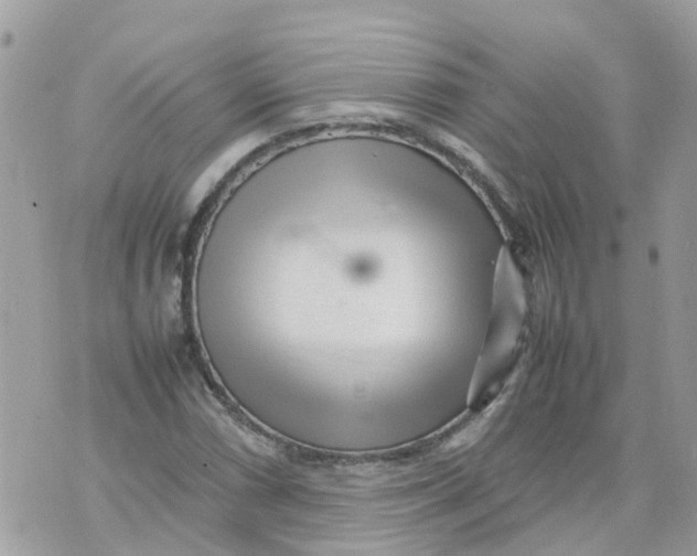 X0000070391066200606301940