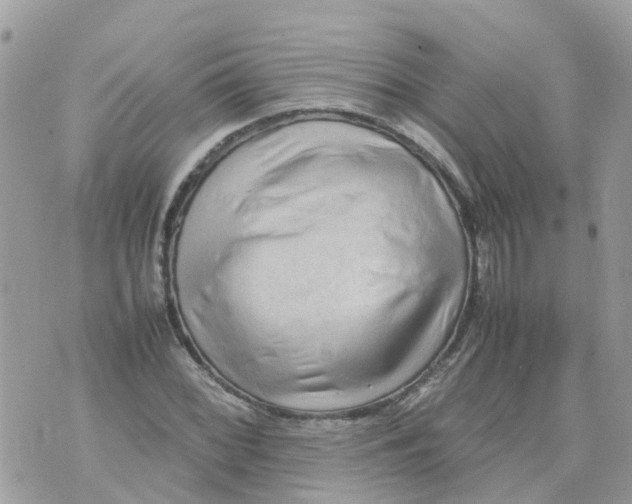 X0000070391068200606301940