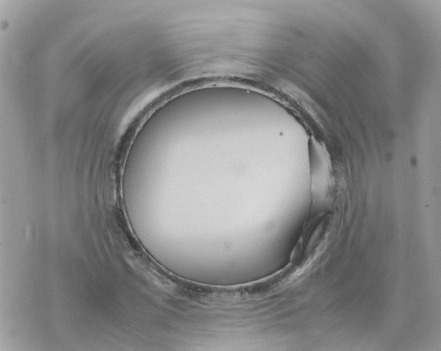 X0000070391069200606301940