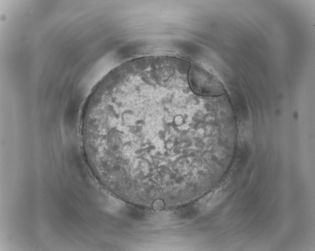 X0000070391071200606301940