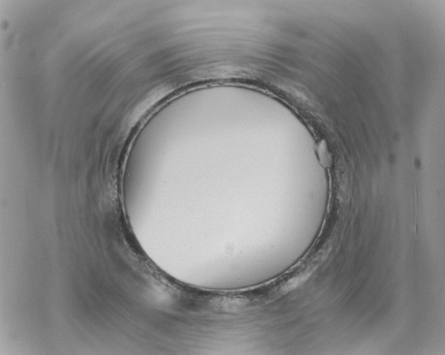 X0000070391073200606301940