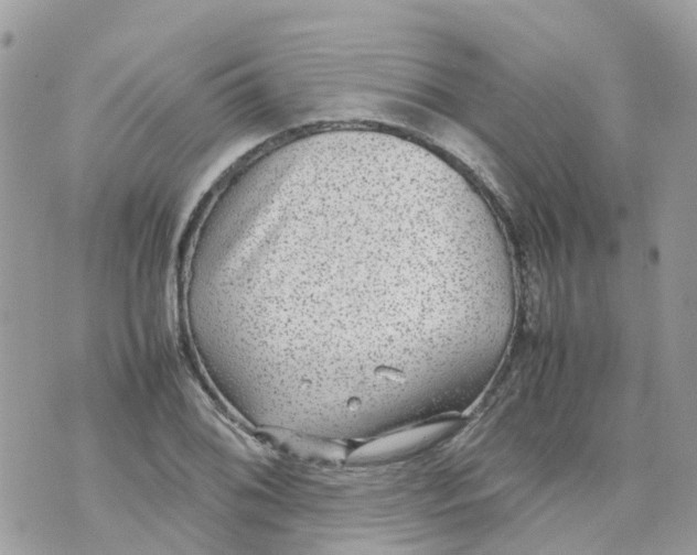 X0000070391076200606301940