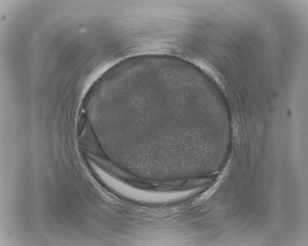 X0000070391077200606301940