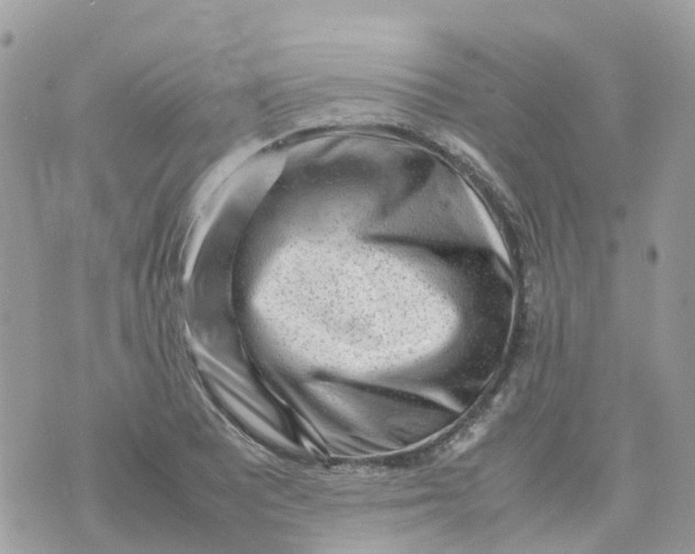 X0000070391081200606301940