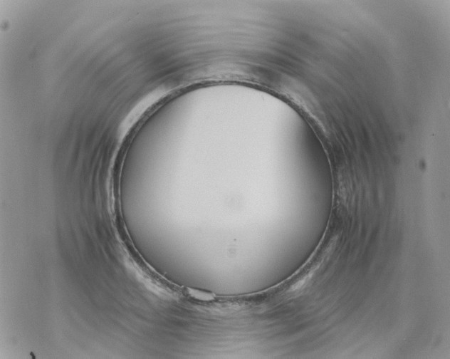 X0000070391082200606301940