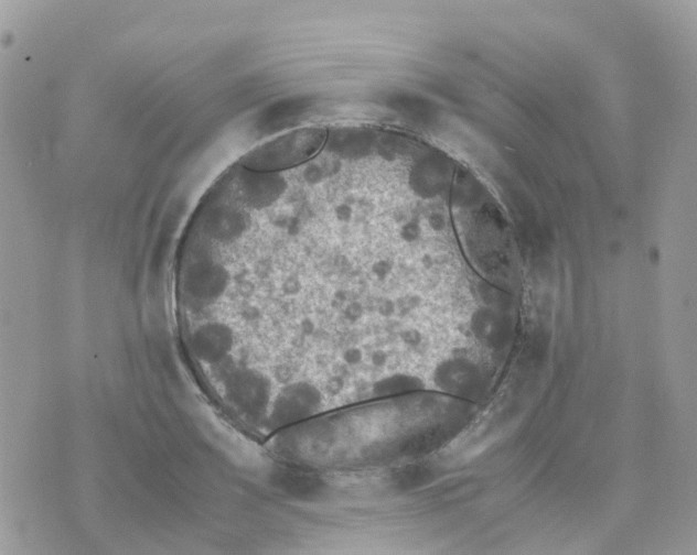 X0000070391083200606301940