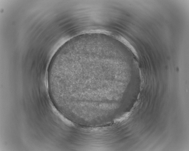 X0000070391084200606301940