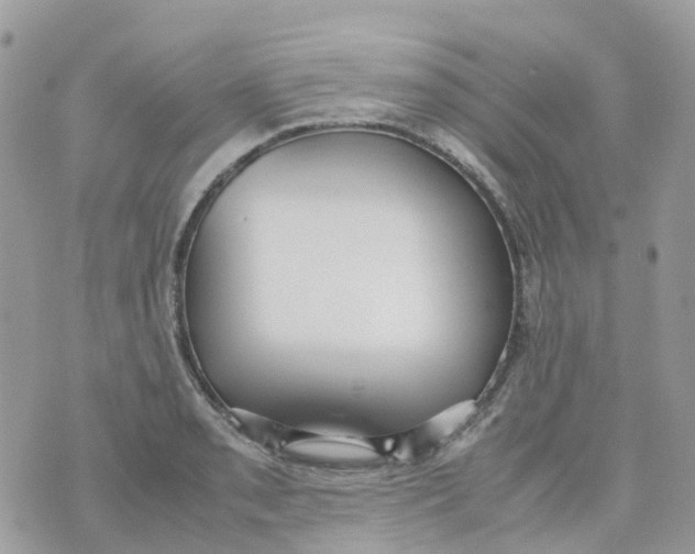 X0000070391085200606301940