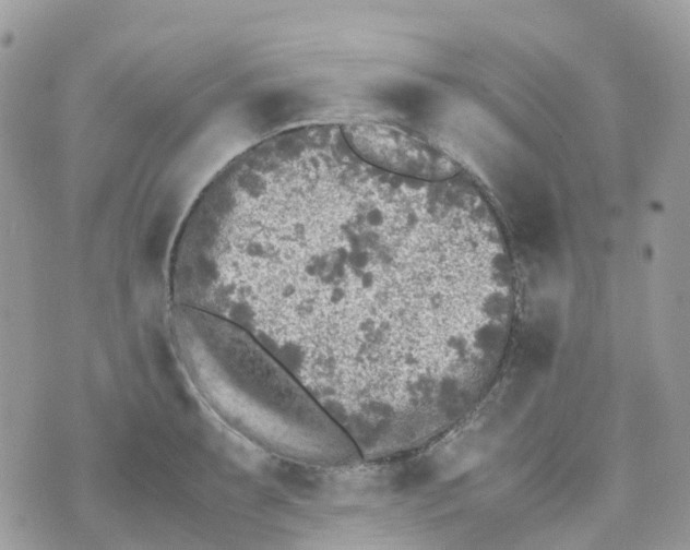 X0000070391087200606301940