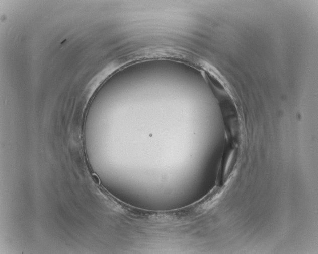 X0000070391089200606301940