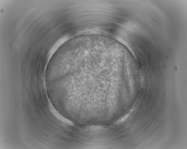 X0000070391090200606301940