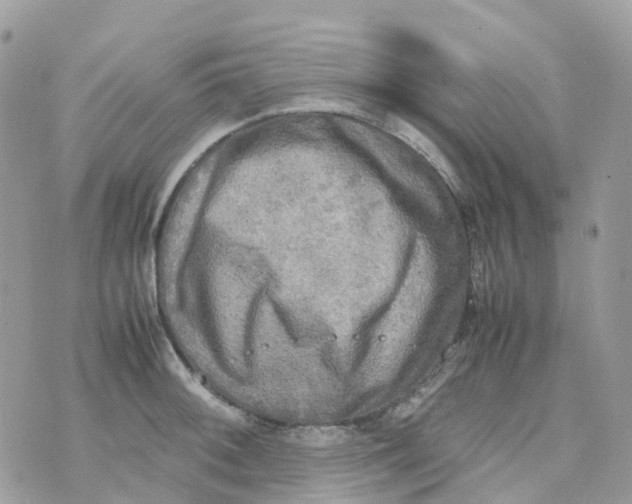 X0000070391092200606301940