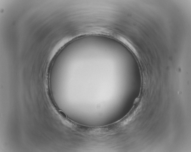 X0000070391093200606301940