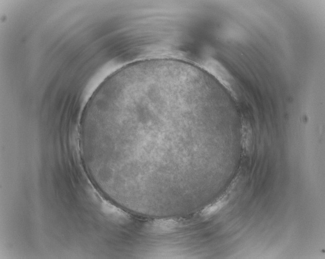 X0000070391094200606301940