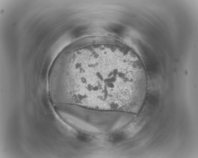 X0000070391095200606301940