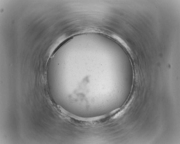 X0000070391097200606301940