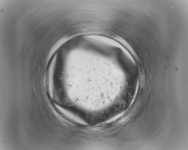 X0000070391101200606301940