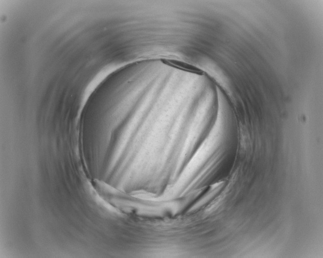 X0000070391102200606301940