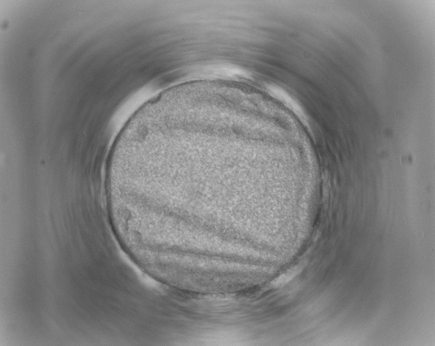 X0000070391103200606301940