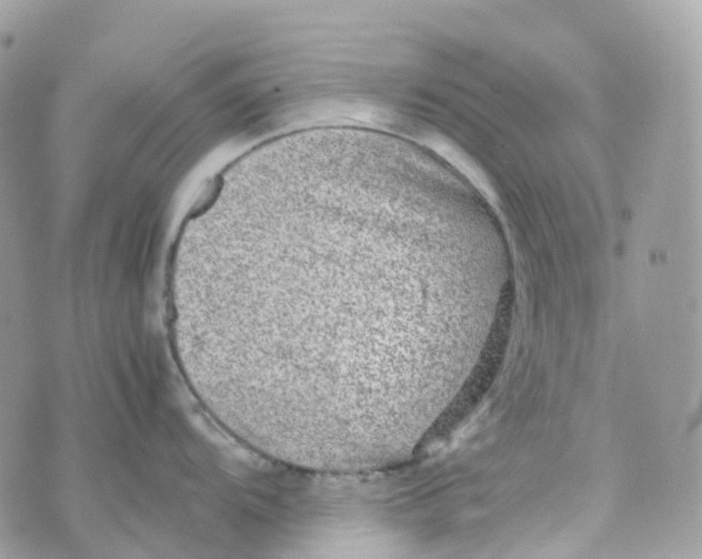 X0000070391104200606301940