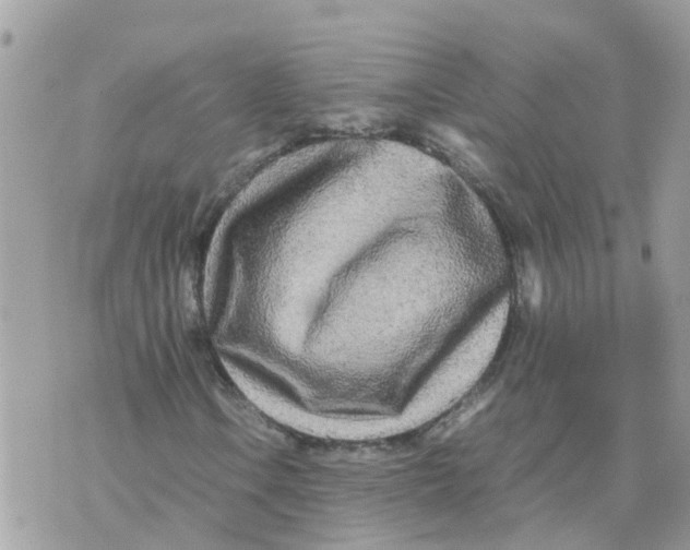 X0000070391106200606301939