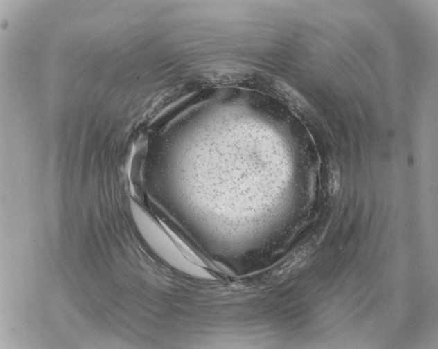 X0000070391108200606301939