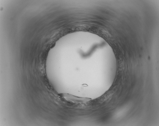 X0000070391109200606301939