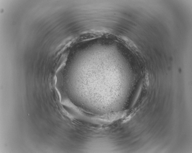 X0000070391110200606301939