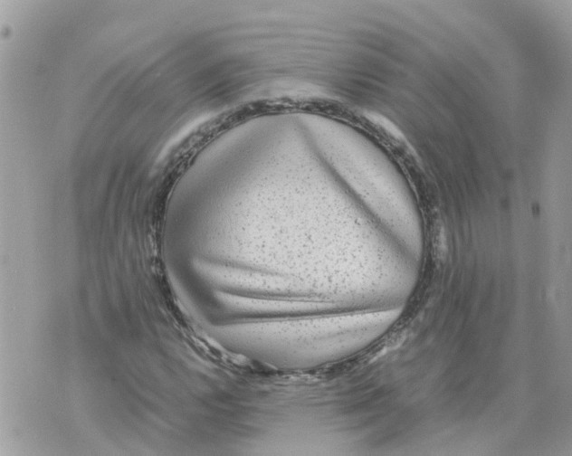 X0000070391112200606301939