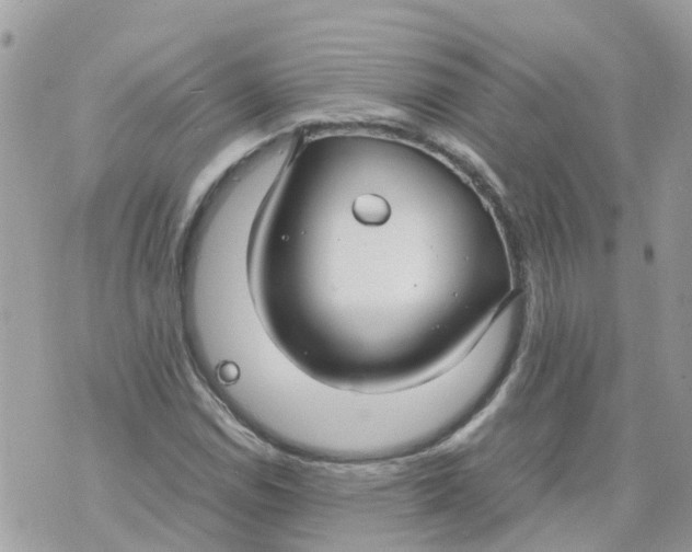 X0000070391114200606301939