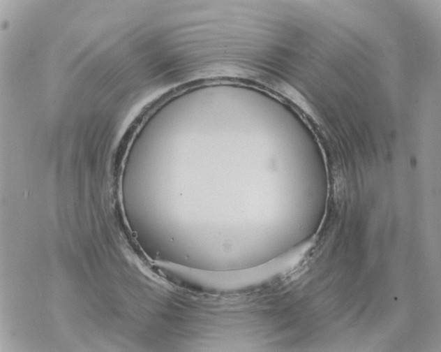 X0000070391116200606301939