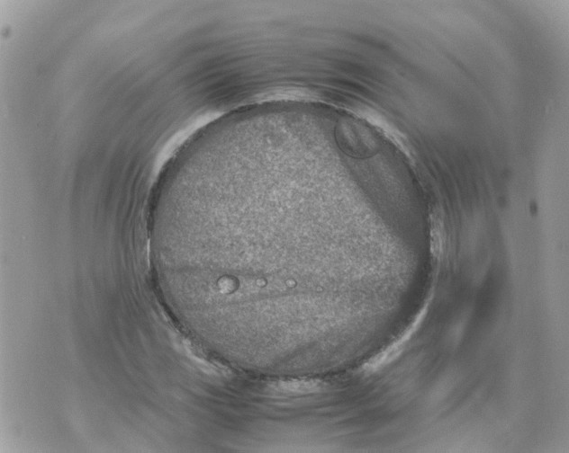 X0000070391117200606301939