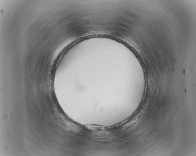 X0000070391119200606301939