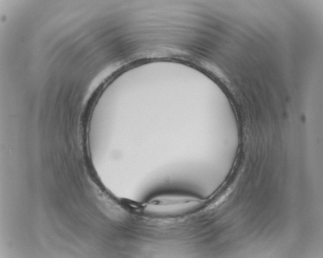 X0000070391122200606301939