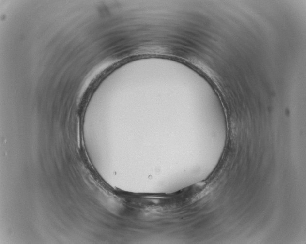 X0000070391123200606301939