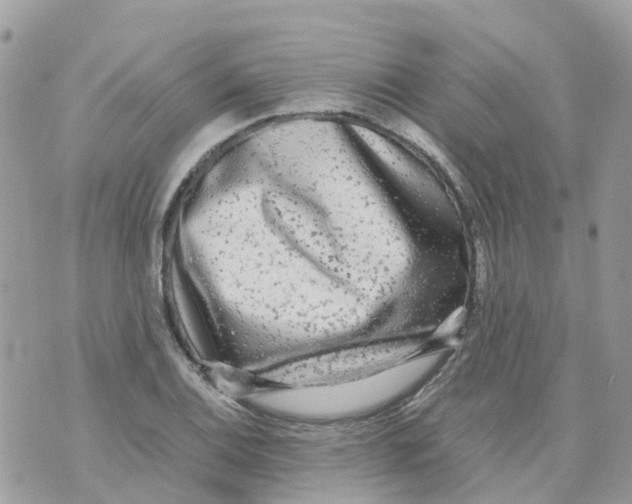 X0000070391124200606301939