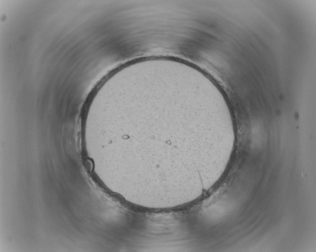 X0000070391126200606301939