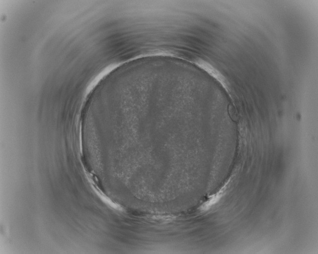 X0000070391127200606301939