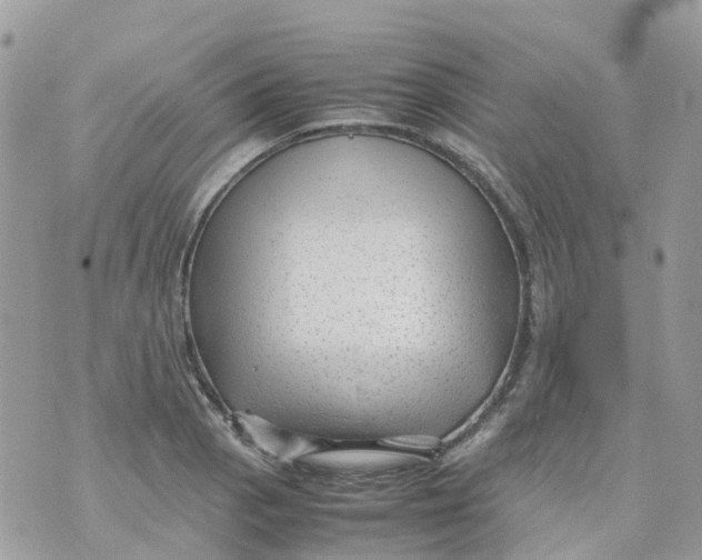 X0000070391129200606301939