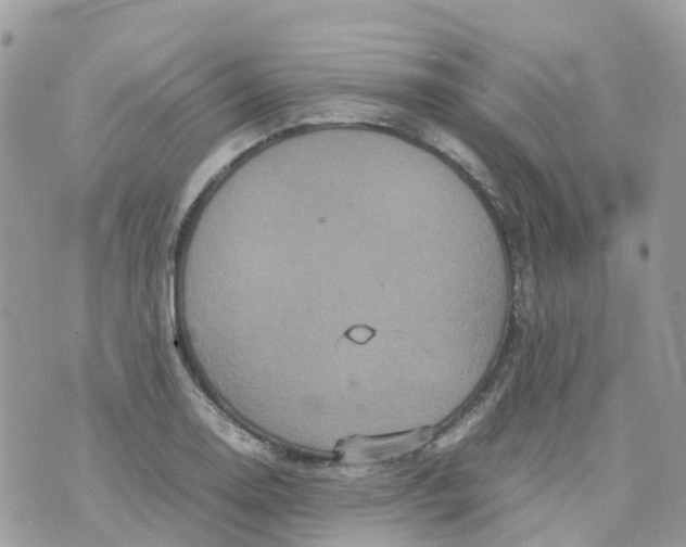 X0000070391130200606301939