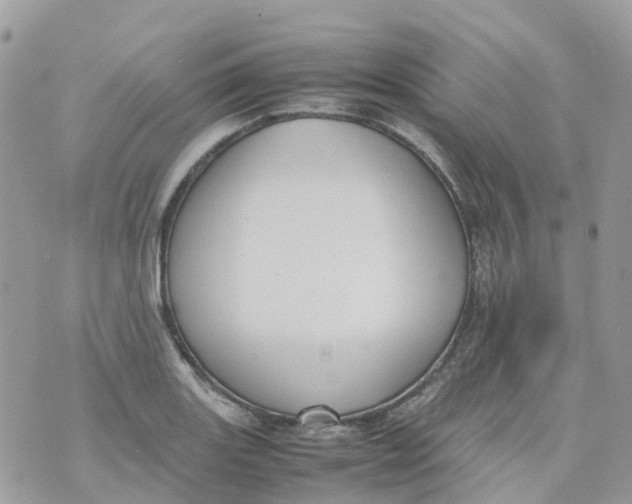 X0000070391131200606301940