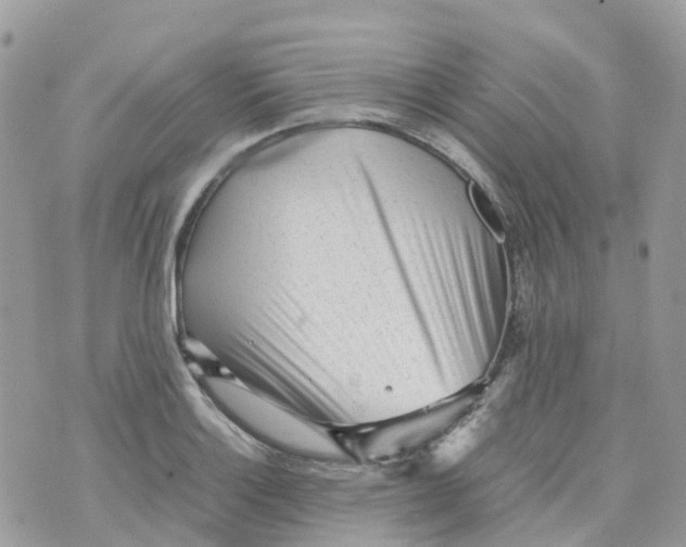 X0000070391132200606301940