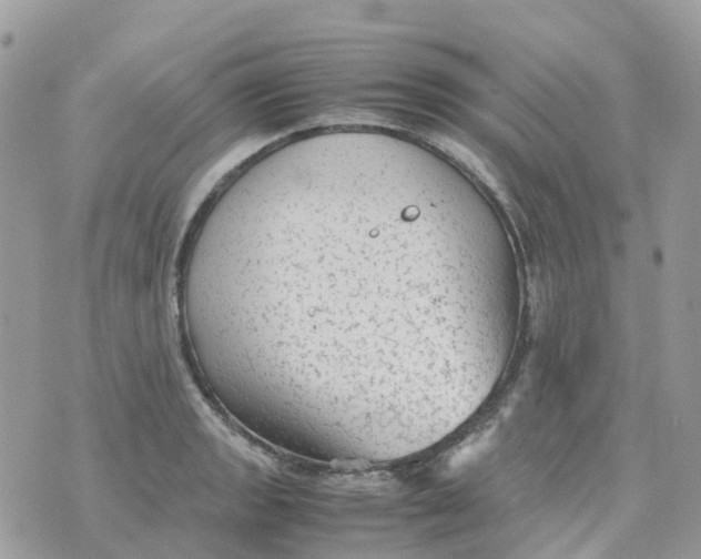 X0000070391133200606301940