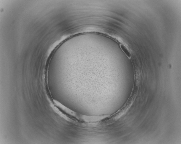 X0000070391134200606301940