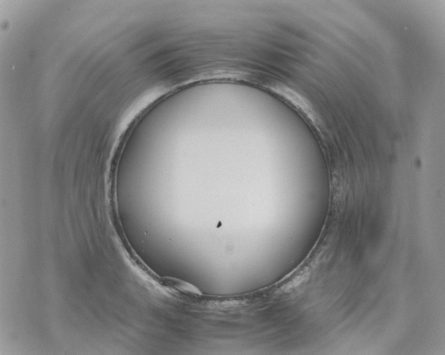 X0000070391135200606301940