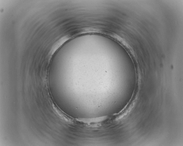 X0000070391137200606301940