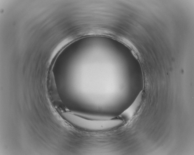 X0000070391138200606301940