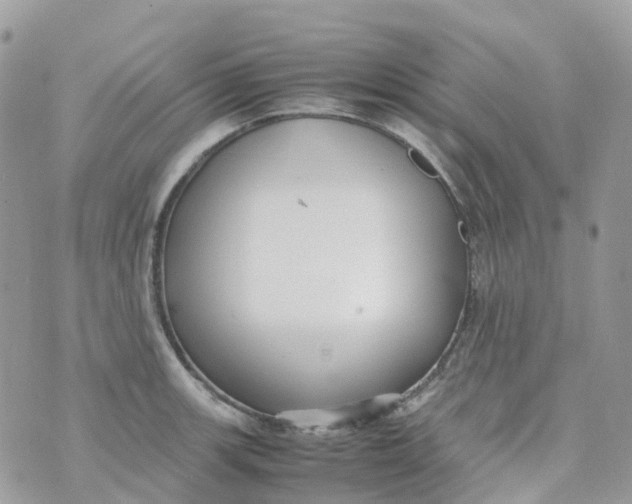 X0000070391139200606301940