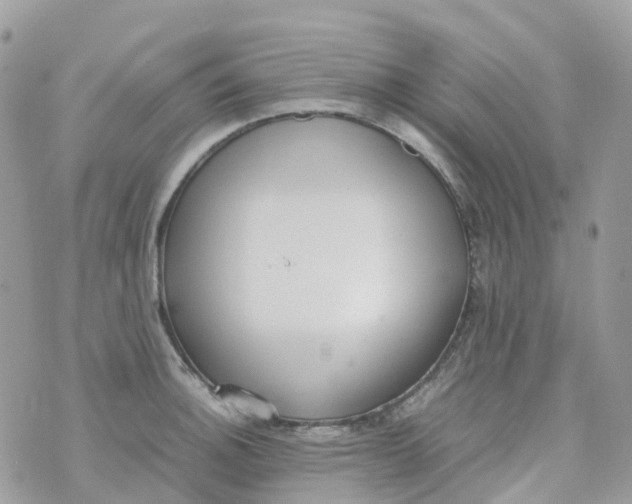 X0000070391140200606301940